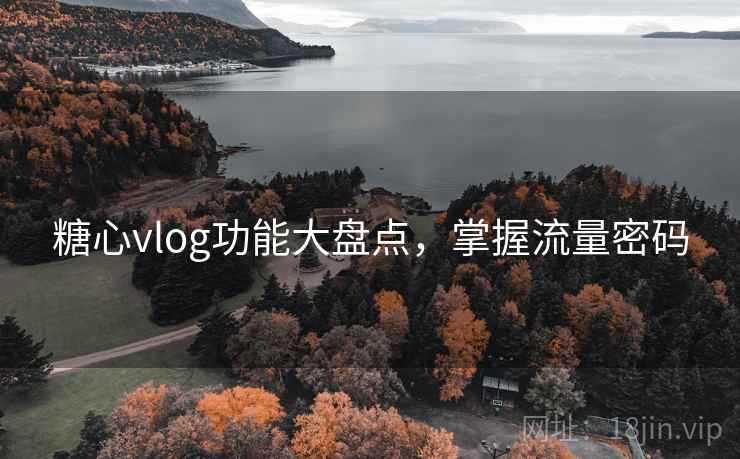 糖心vlog功能大盘点，掌握流量密码